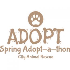 Animal Adoption 3 Template