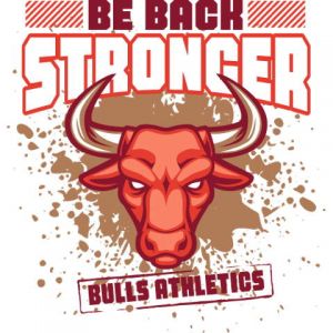 Bulls 3 Template