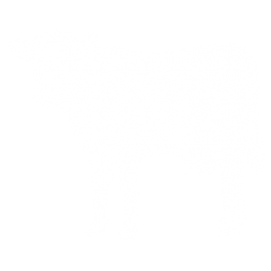 FARM RAISED COW