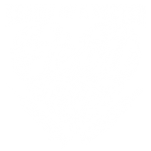 BRAINS OF A DOCTOR HEART OF A NURSE
