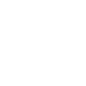 NURSES DO IT WITH SKILL AND LOVE