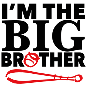 IM THE BIG BROTHER