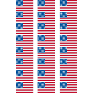 USA FLAG GANG SHEET (24pcs)